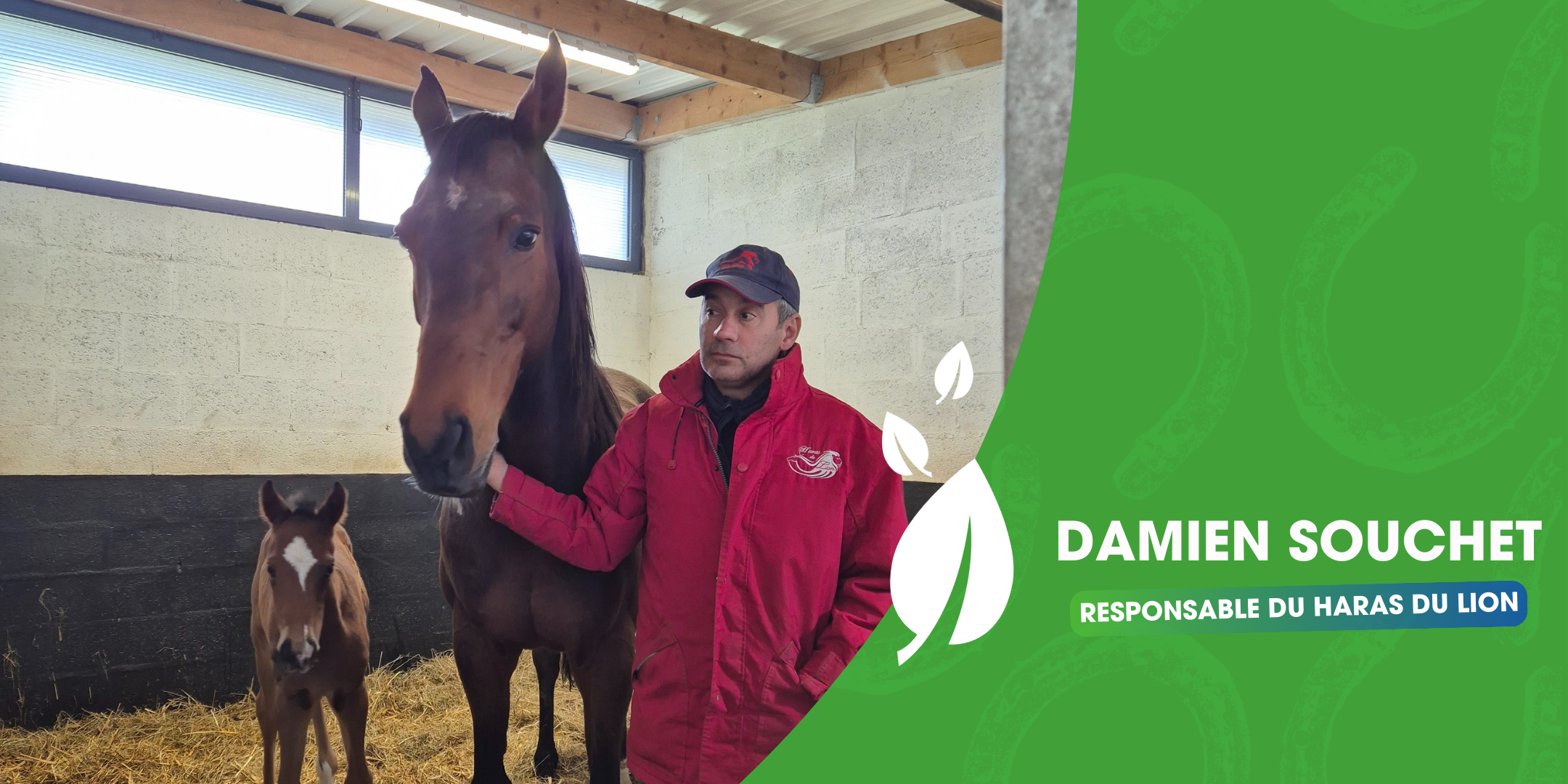 Interview de Damien Souchet, responsable du Haras du Lion